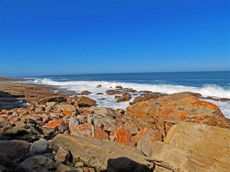 DON'T MISS: Hiking the Robberg Nature Reserve on the Garden Route