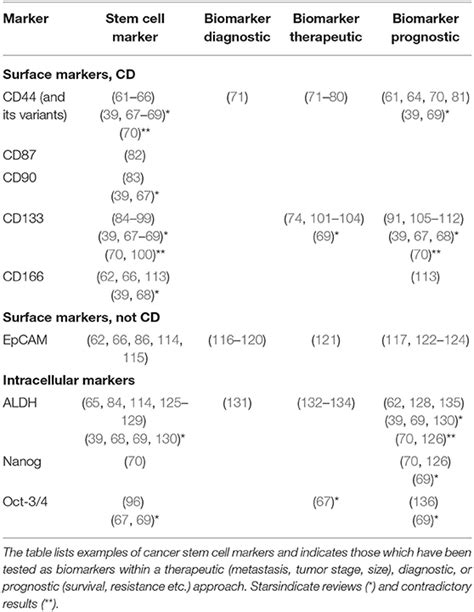 Frontiers | Cancer Stem Cells—Origins and Biomarkers: Perspectives for Targeted Personalized ...