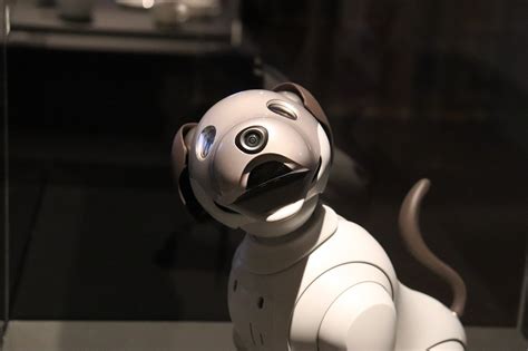 Best Robot Dogs That Look Real For 2024 – Top 10 Toys From The Future June 2024