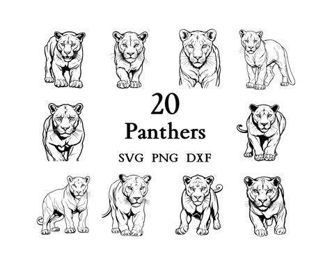 Panther Svg Bundle , Panther Svg , Cut Files for Cricut and Laser ...