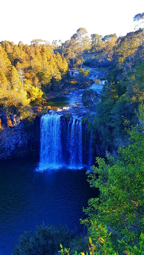 Dangar Falls Dorrigo NSW AUSTRALIA | Waterfall, Science and nature, Places to go