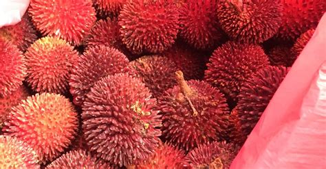 Free stock photo of Pulasan, tropical fruit