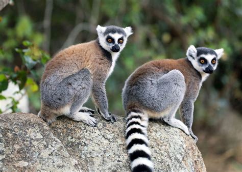 Hiking in Isalo National Park, Madagascar | Audley Travel