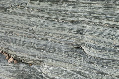 Premium Photo | Slate and schist background texture