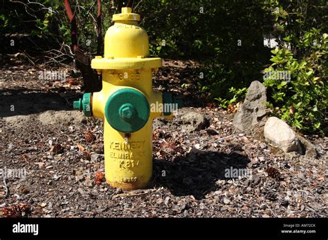 A yellow fire hydrant Stock Photo - Alamy