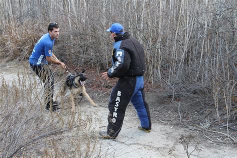 K9 Training in masterdog-training centers