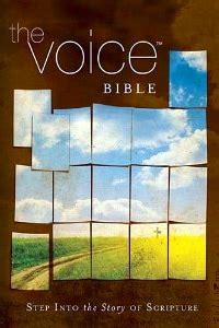 The Voice Bible Translation [Brief Review] - The Englewood Review of Books