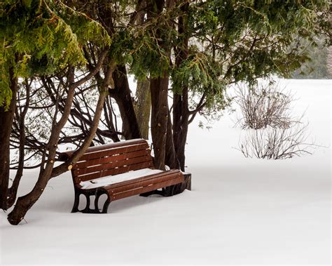 Winter at Montreal botanical garden | Winter is just amazing… | Flickr