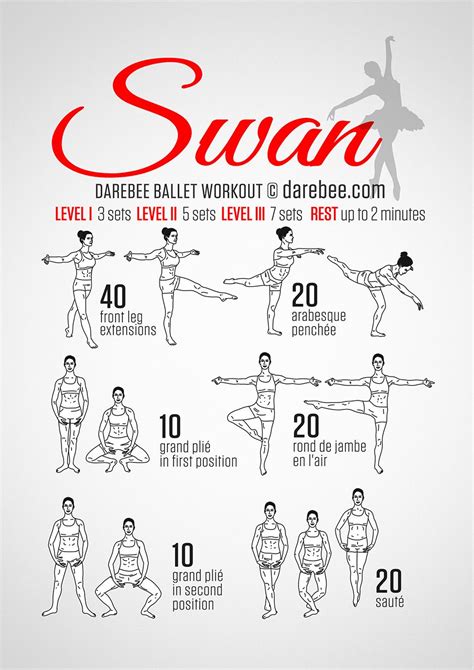 Celebrate Diversity In Ballet | Dancer workout, Ballet stretches, Workout for beginners