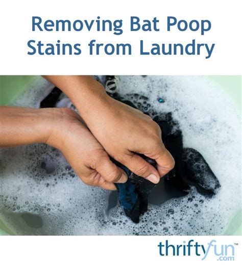 Removing Bat Poop Stains from Laundry? | ThriftyFun