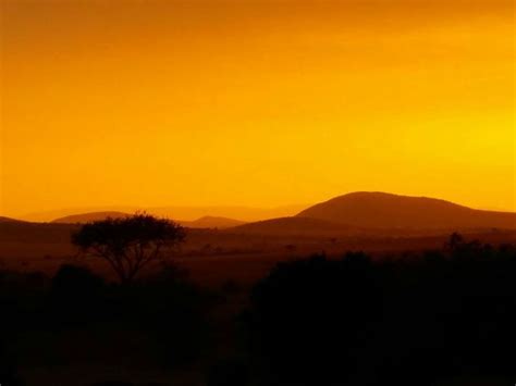 Maasai Mara sunset | Smithsonian Photo Contest | Smithsonian Magazine