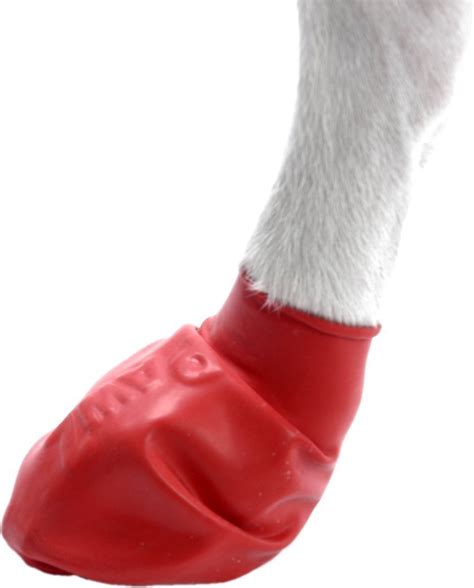 Pawz Waterproof Dog Boots, 12 count, Red, Small - Chewy.com