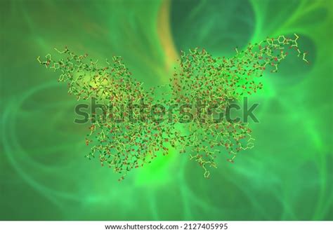 Molecular Model Fibroblast Growth Factor 1 Stock Illustration 2127405995 | Shutterstock