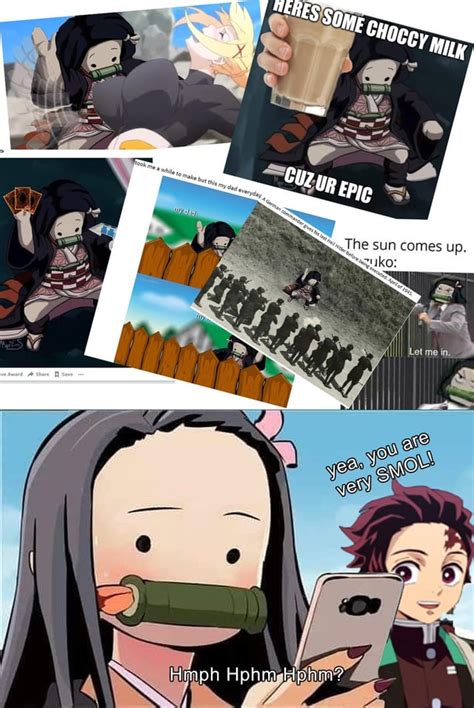 Nezuko is trying to understand all these smol memes : KimetsuNoYaiba