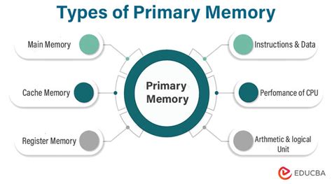 Types of Primary Memory | What is Primary Memory and its Types?