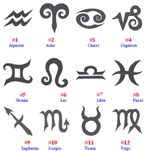 12 symbol chinese zodiac tattoos | custom chinese zodiac tattoos