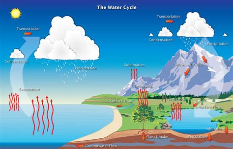 The Water Cycle | Flickr - Photo Sharing!