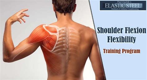 Complete Shoulder Flexion — ElasticSteel