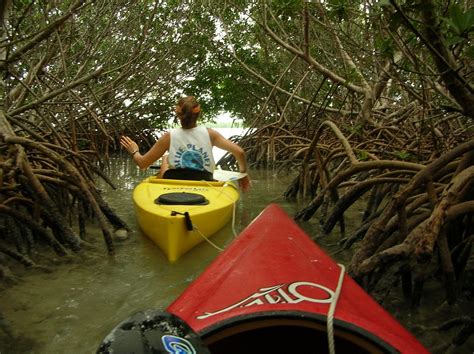 Blue Planet Kayak Eco-Tours (Key West) - All You Need to Know BEFORE You Go
