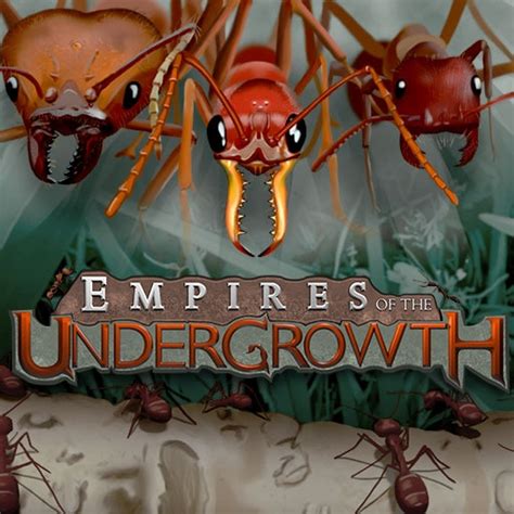 Empires of the undergrowth black ant vs worker ant - businesshopde