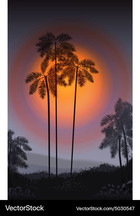 Summer night palm trees Royalty Free Vector Image