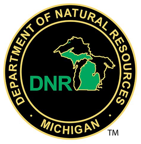 Michigan DNR fishing report for March 15 - Trails To Trout