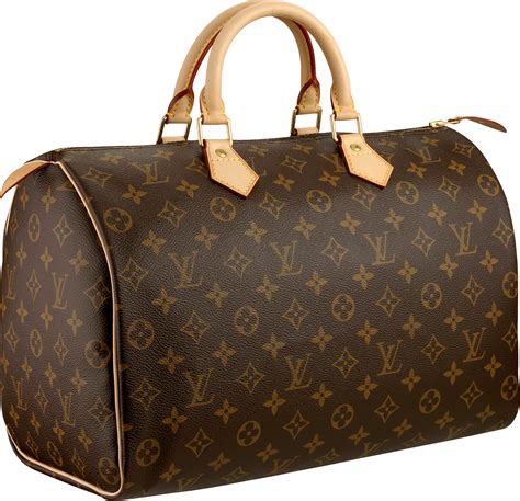 Louis Vuitton Women bag PNG image