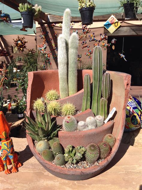 Cactus Container Garden Ideas - Image to u