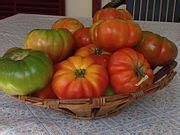 Category:Solanum lycopersicum in Turkey - Wikimedia Commons