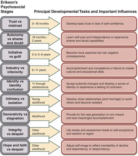 Illustration displaying Erik Erikson's 9 stages of psychosocial ...