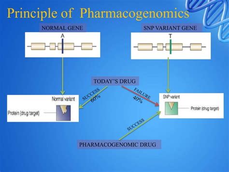 Pharmacogenomics