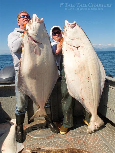 Aewsome Halibut Fishing Homer Alaska