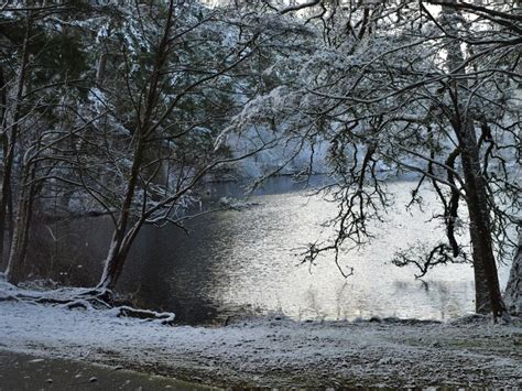 Lowland Snow Possible For Bonney Lake: Winter Weather Ahead | Bonney ...