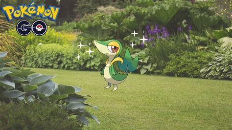 How to Catch Shiny Snivy in Pokémon GO - Gamer Journalist