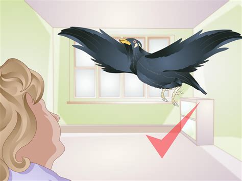 How to Raise a Mynah Bird (with Pictures) - wikiHow