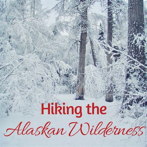 Hiking the Alaskan Wilderness - Quick Whit Travel | Wilderness, Hiking, Alaskan