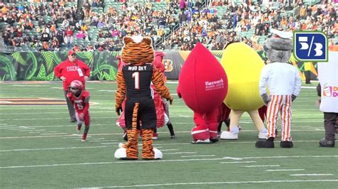 Bengals mascot peewee halftime game 2017 - YouTube