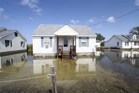 Insights - Tips to Reduce the Impact of Flooding to Your Home