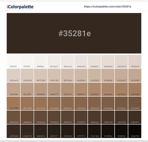 Cocoa Brown information | Hsl | Rgb | Pantone