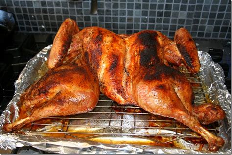 Cook Lisa Cook: Roasted Spatchcocked Turkey