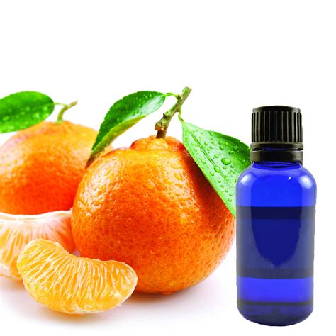 Buy Tangerine Essential Oil Online - Willow Tree Herbs