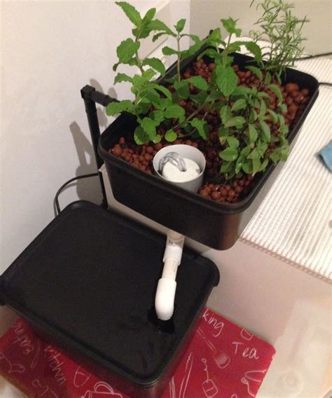 Mini Hydroponics Herb Garden : 8 Steps (with Pictures) - Instructables