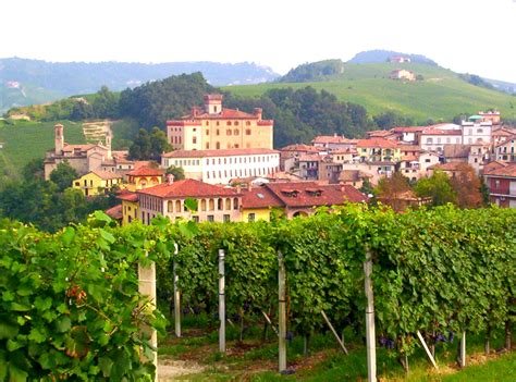 WINE EXPERIENCE IN THE BAROLO REGION - MeetItaly