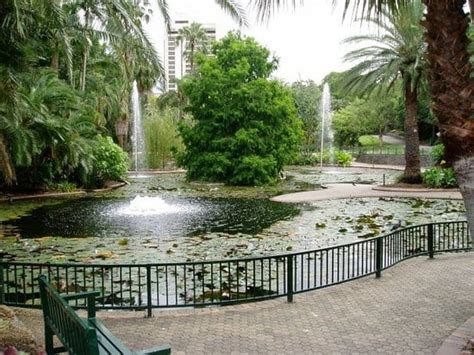 Brisbane City Botanic Gardens & Brisbane Botanic Gardens Mt Coot-tha ...