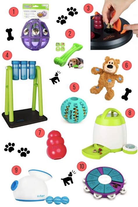 Interactive Dog Toys & Games - A Guide for Your Pooch! - KATYA JACKSON