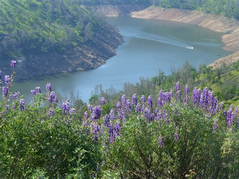 Hiking from Sky Harbor along Millerton Lake | Sierra News Online