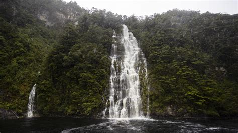 Dusky Sound Conservation Cruise, Fiordland | RealNZ