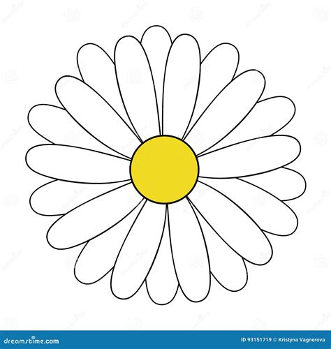 Daisy stock vector. Illustration of center, doodle, drawing - 93151719