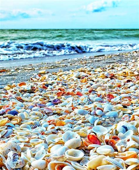 The Nicest Pictures: Sanibel Island beach