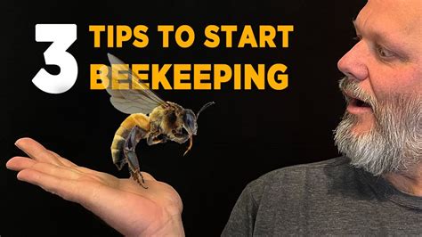 3 Essential Tips to be Successful at Beekeeping (How I Started ...